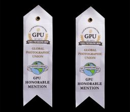 PhotoArt PRAGUE International Salon 2016