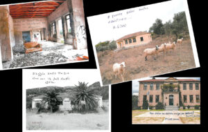 Η εικόνα ως τόπος γραφής - Νίκος Μπασιάς